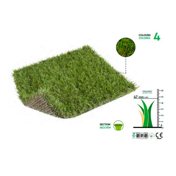 Turfgrass Capri 45